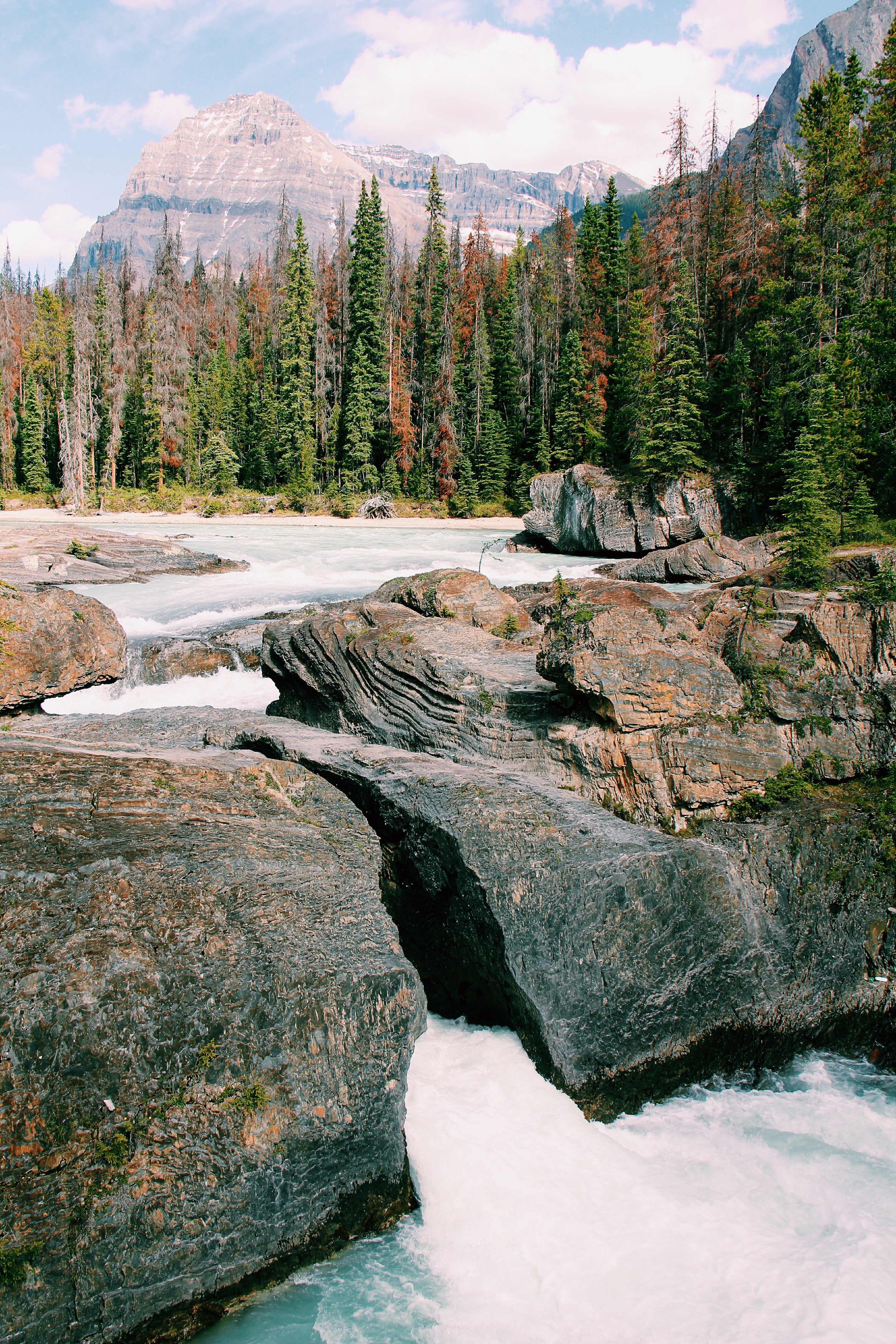 Canada and New York 2011 23